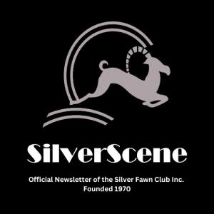 SILVERSCENE 2022